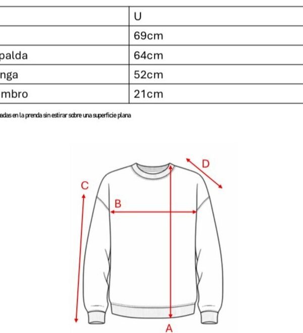 Buzo Rustico Lycra Cuello Redondo Sol De Mayo Argentina Bordado "AIRES"