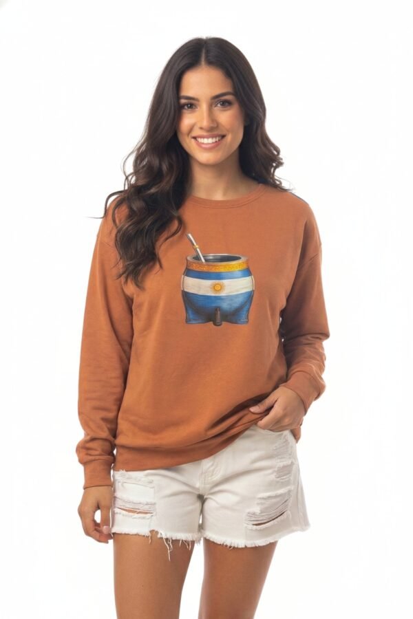 Buzo Rustico Frisado Mate Bandera Argentina DTF «CASPER»