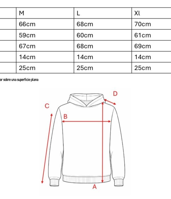 Buzo Frisa Peinado Con Capucha Sol De Mayo En DTF Argentina "BANDERA"