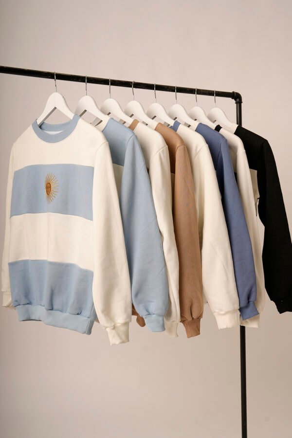 Buzo frisa peinado cuello redondo sol de mayo bordado "PASION"