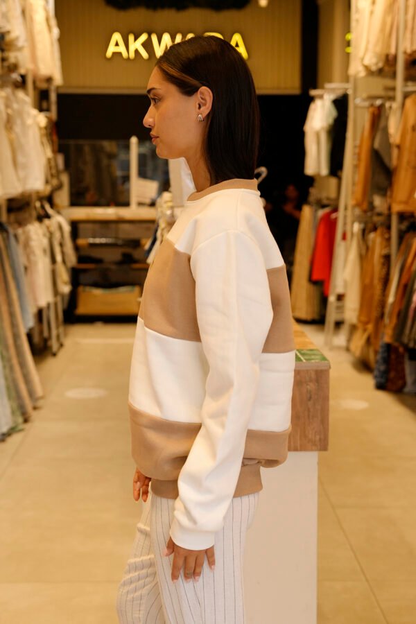 Buzo frisa peinado cuello redondo sol de mayo bordado "PASION"