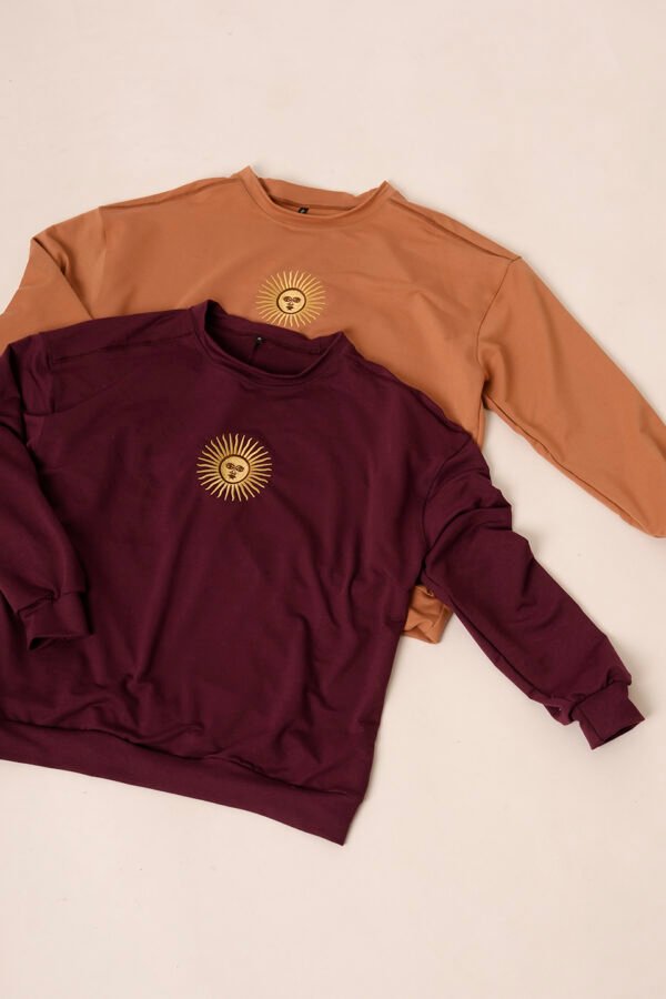 Buzo rustico lycra cuello redondo sol de mayo argentina bordado "AIRES"