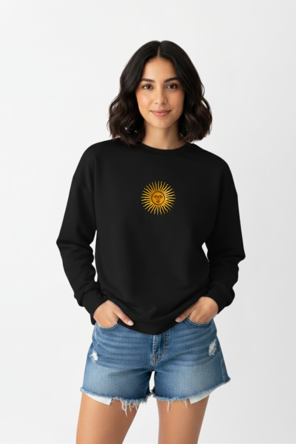 Buzo rustico lycra cuello redondo sol de mayo argentina bordado "AIRES"