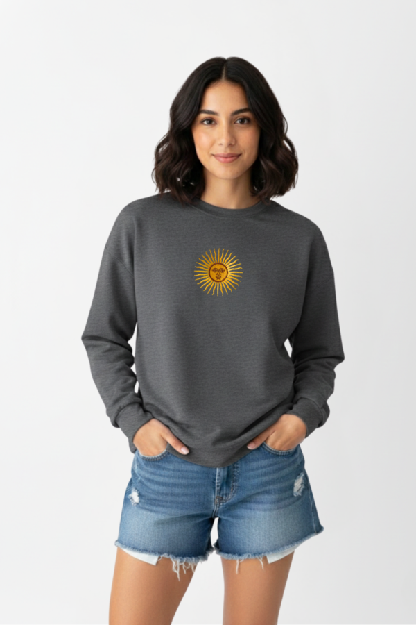 Buzo rustico lycra cuello redondo sol de mayo argentina bordado "AIRES"