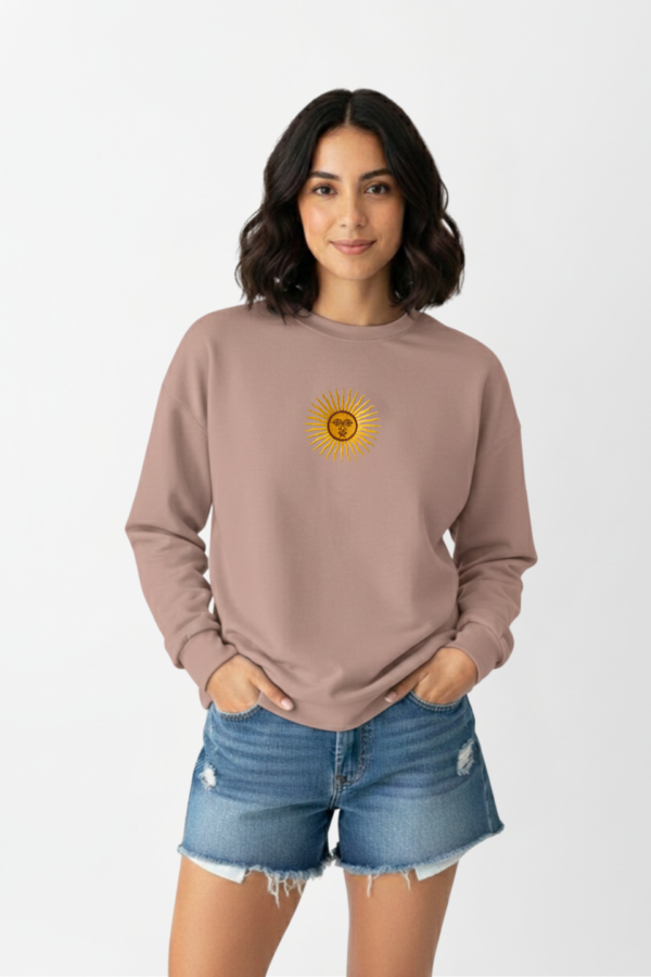 Buzo rustico lycra cuello redondo sol de mayo argentina bordado "AIRES"