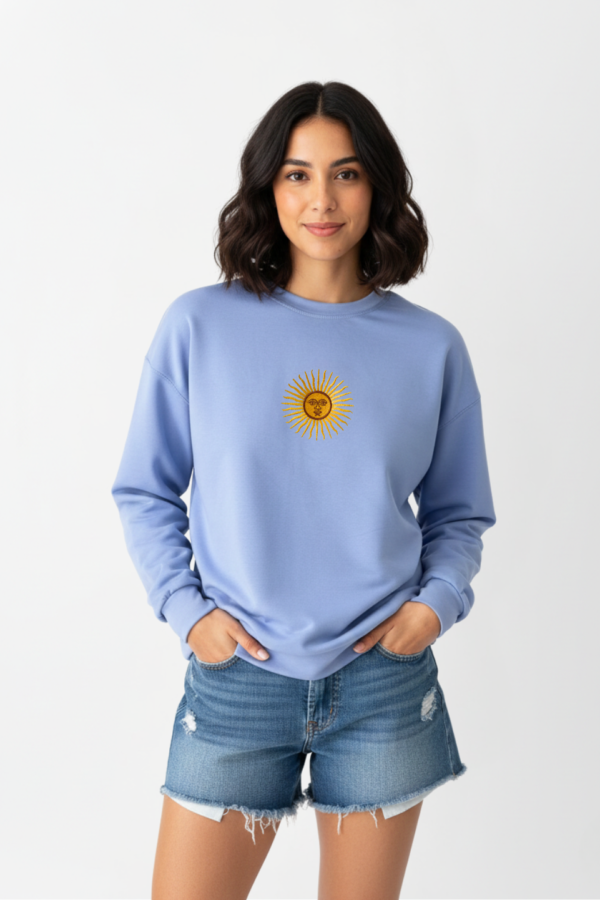 Buzo rustico lycra cuello redondo sol de mayo argentina bordado "AIRES"