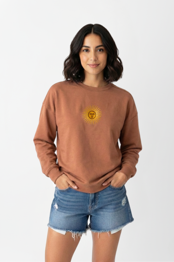 Buzo rustico lycra cuello redondo sol de mayo argentina bordado "AIRES"