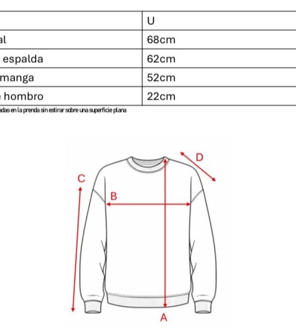 Buzo Rustico Frisado Mate Bandera Argentina DTF «CASPER»