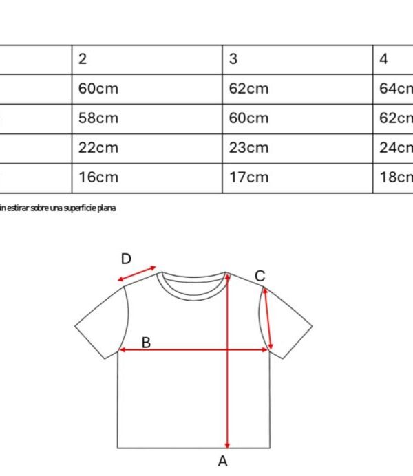 Remera boxy ribb sol y fechas en DTF "CAMPEON"
