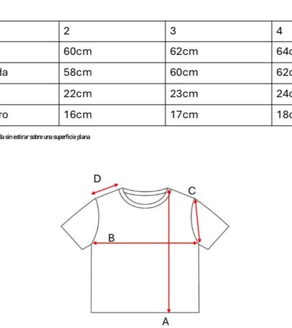 Remera Boxy Ribb Sol De Mayo En El Medio Bordado "CIUDAD"
