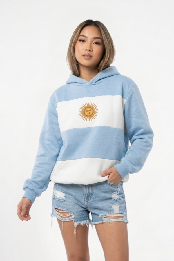 Buzo frisa peinado con capucha sol de mayo en DTF argentina "BANDERA"