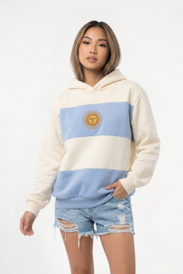 Buzo frisa peinado con capucha sol de mayo en DTF argentina "BANDERA"