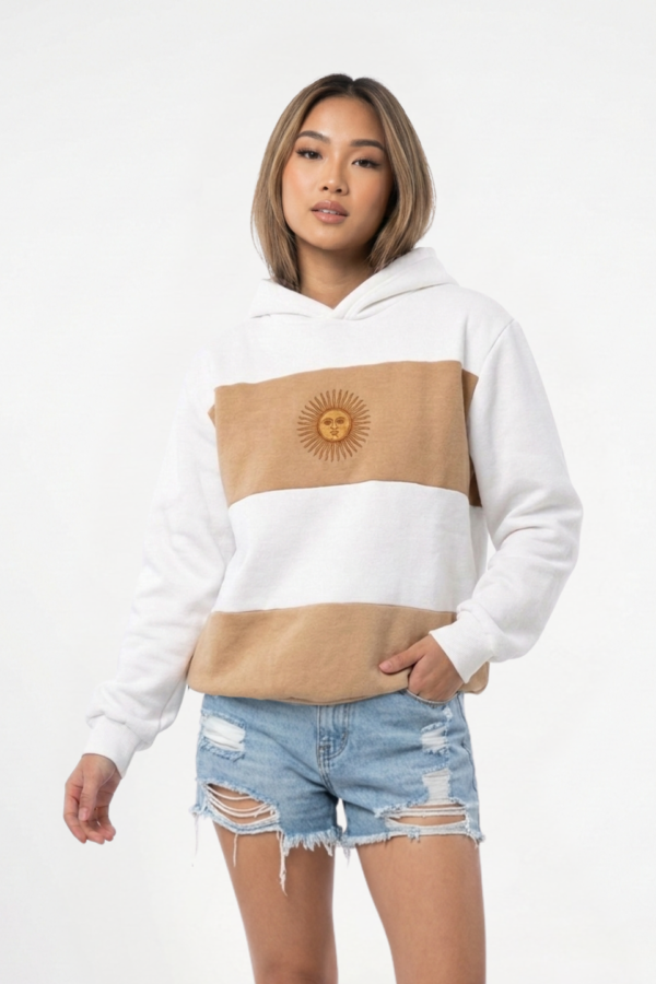 Buzo frisa peinado con capucha sol de mayo en DTF argentina "BANDERA"
