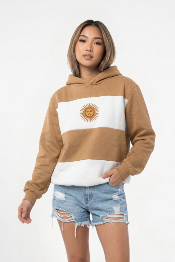 Buzo frisa peinado con capucha sol de mayo en DTF argentina "BANDERA"