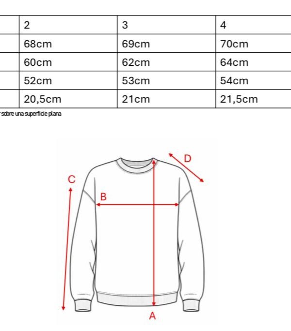 Buzo frisado cuello redondo rayado sol de mayo bordado grande "RIGA"