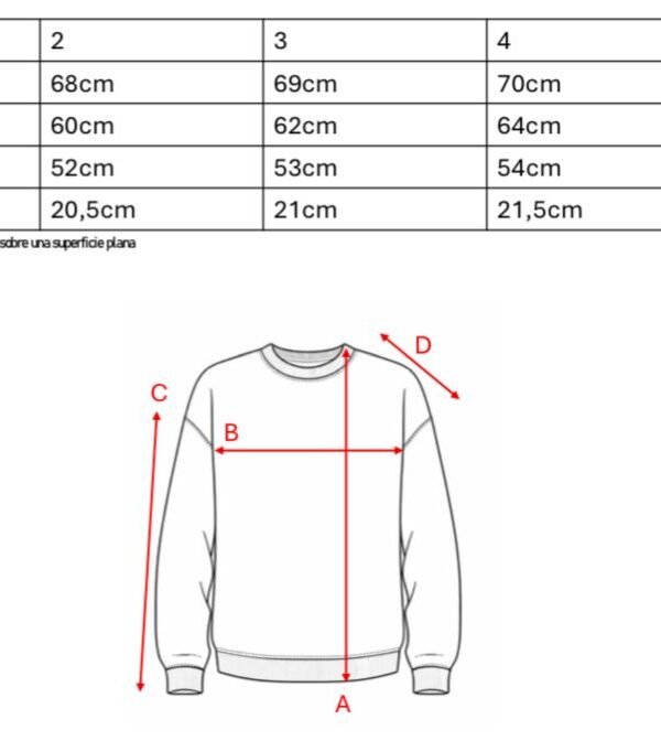 Buzo rustico lycra cuello redondo combinado sol de mayo bordado "FEDERAL"