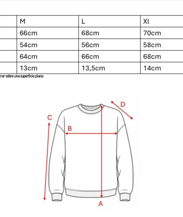 Buzo frisa peinado cuello redondo sol de mayo bordado "PASION"