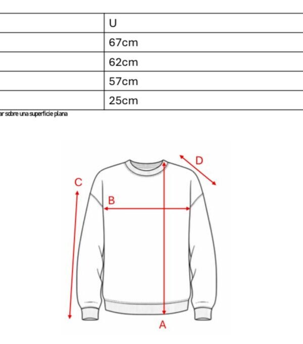 Buzo rustico cuello redondo sol de mayo bordado "PIEVA"